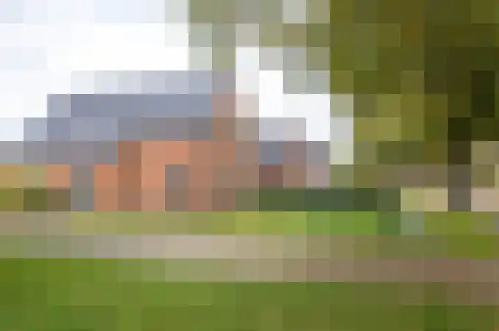 Tolheksleane 8 Frieschepalen thumbnail 35