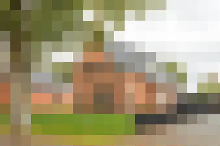 Tolheksleane 8 Frieschepalen thumbnail 37