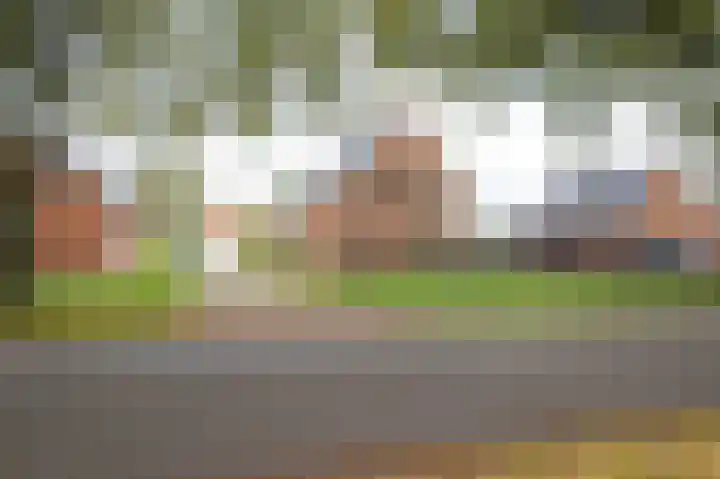 Tolheksleane 8 Frieschepalen thumbnail 38