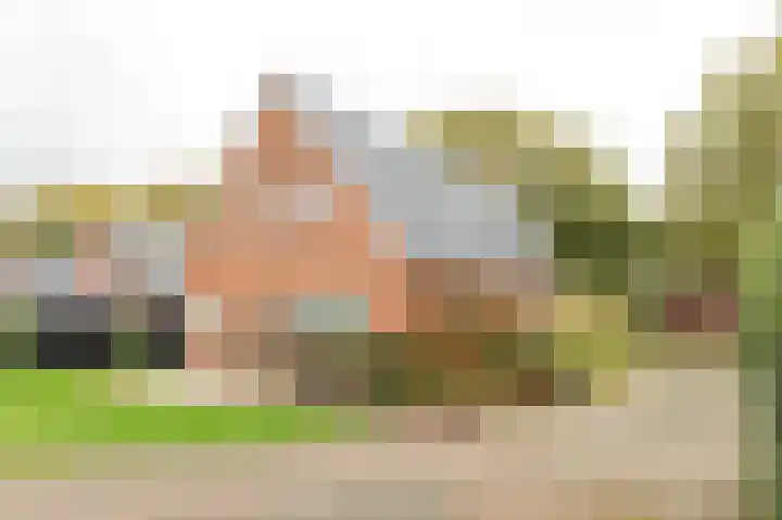 Tolheksleane 8 Frieschepalen thumbnail 39
