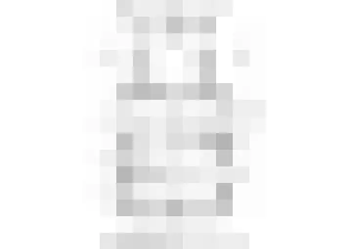 Tolheksleane 8 Frieschepalen thumbnail 4
