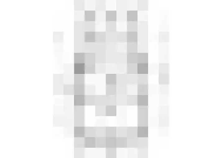 Tolheksleane 8 Frieschepalen thumbnail 44