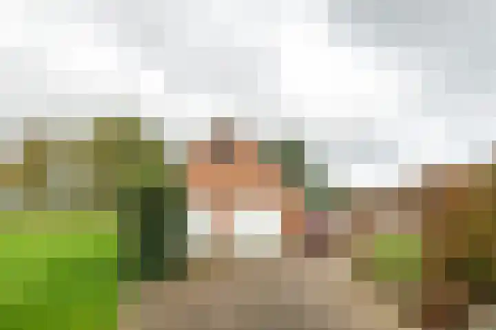 Tolheksleane 8 Frieschepalen thumbnail 46