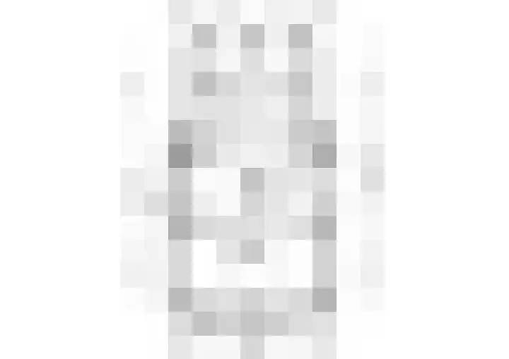 Tolheksleane 8 Frieschepalen thumbnail 5