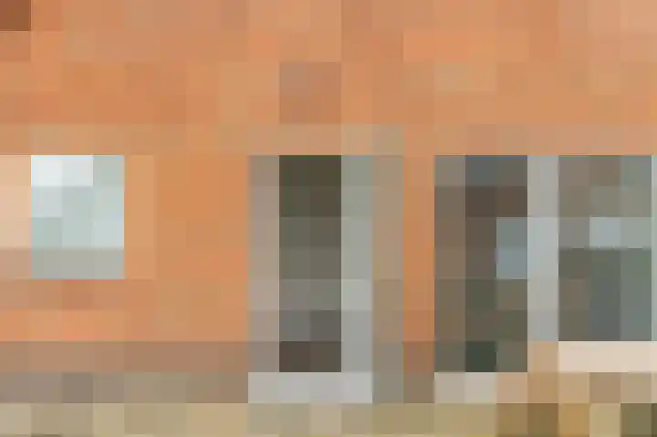 Tolheksleane 8 Frieschepalen thumbnail 7