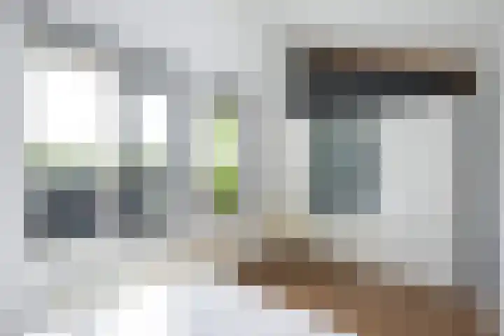 Tolhekstraat 26 Zwolle thumbnail 22