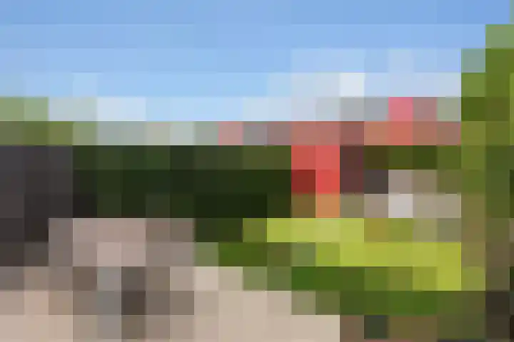 Tolhekstraat 26 Zwolle thumbnail 25