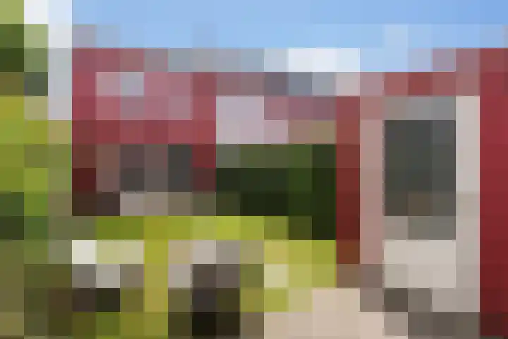 Tolhekstraat 26 Zwolle thumbnail 26