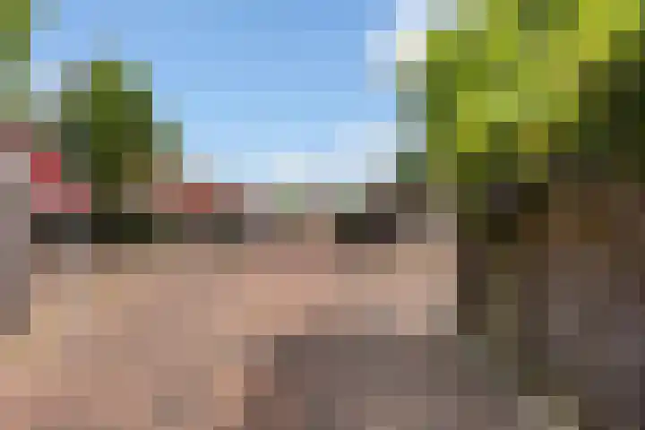 Tolhekstraat 26 Zwolle thumbnail 27