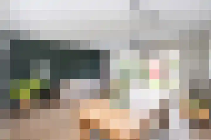Tolhekstraat 26 Zwolle thumbnail 5