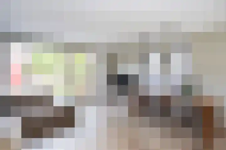 Tolhekstraat 26 Zwolle thumbnail 6