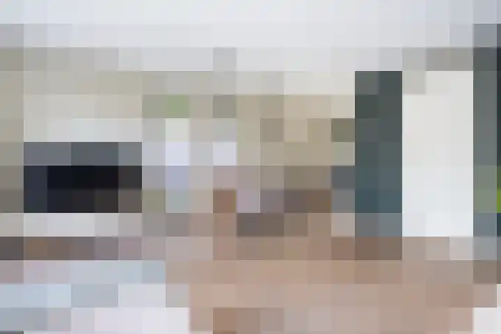 Tolhekstraat 26 Zwolle thumbnail 7