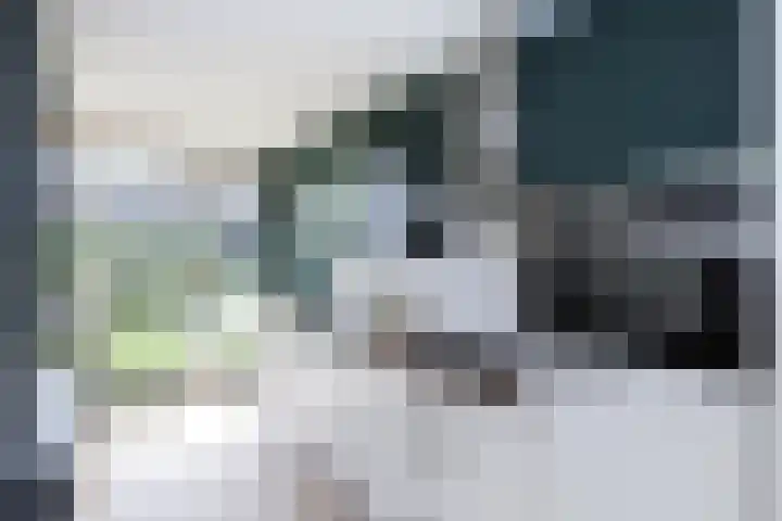 Tolhekstraat 26 Zwolle thumbnail 9
