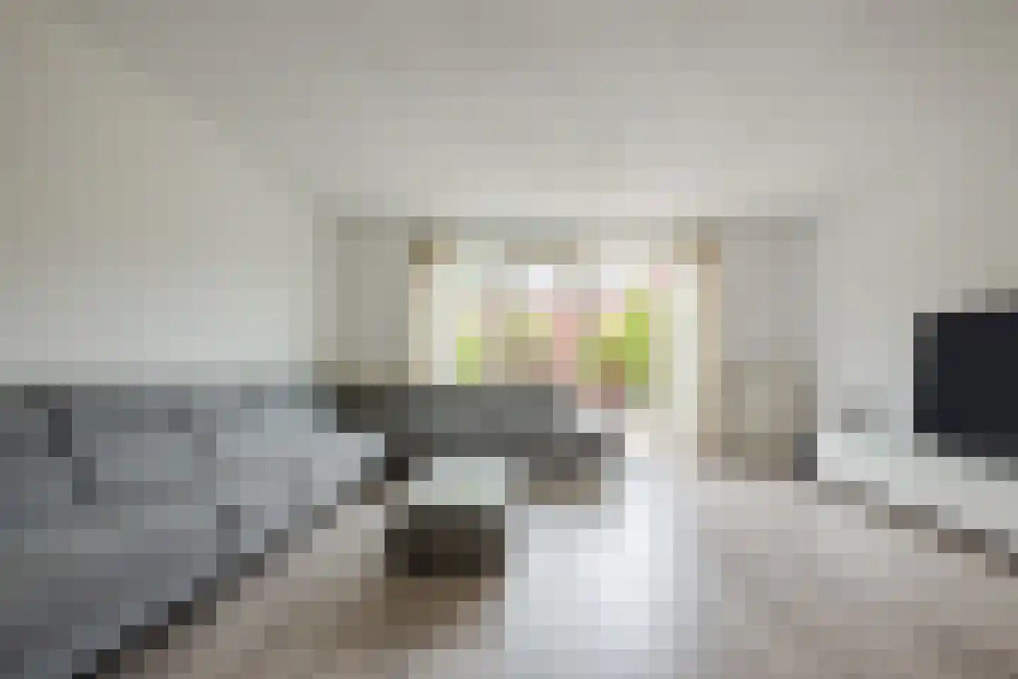 Tolhekstraat 76 Zwolle thumbnail 10