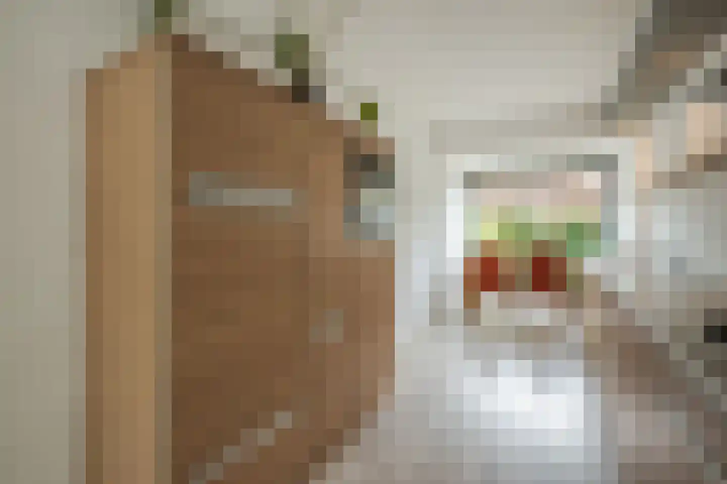 Tolhekstraat 76 Zwolle thumbnail 15