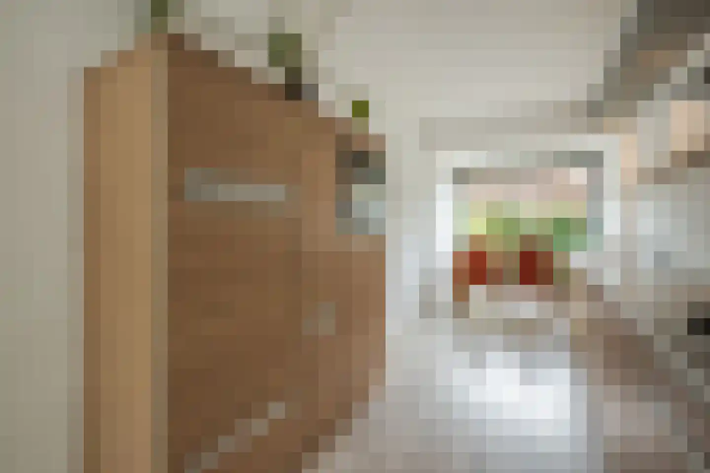 Tolhekstraat 76 Zwolle thumbnail 15