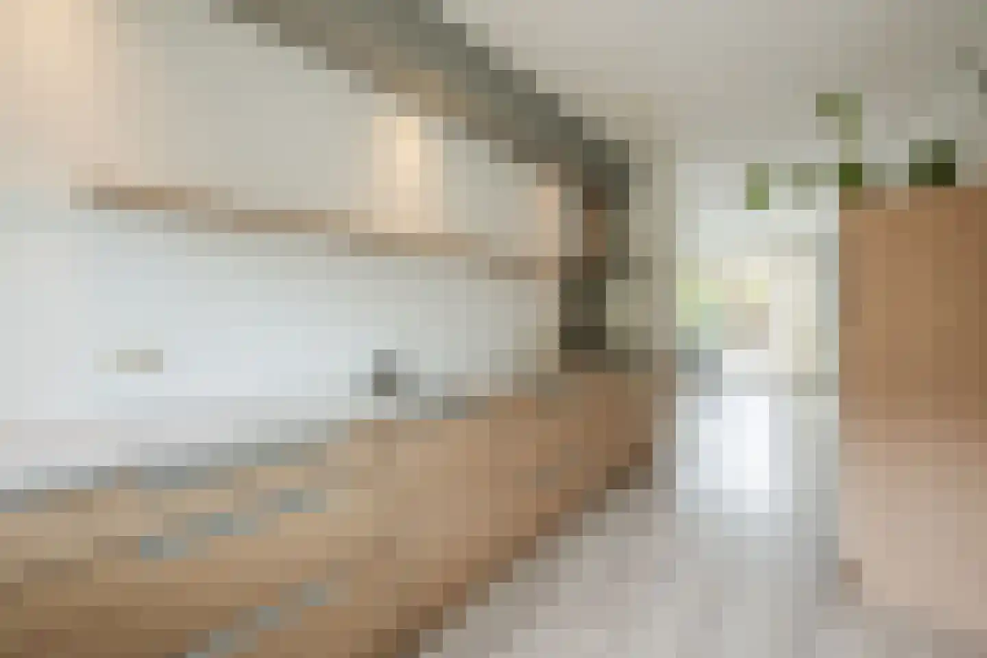 Tolhekstraat 76 Zwolle thumbnail 16