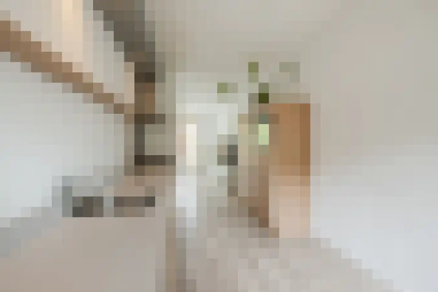 Tolhekstraat 76 Zwolle thumbnail 17