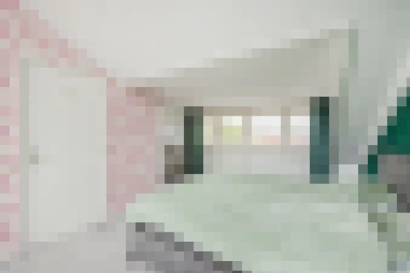 Tolhekstraat 76 Zwolle thumbnail 30