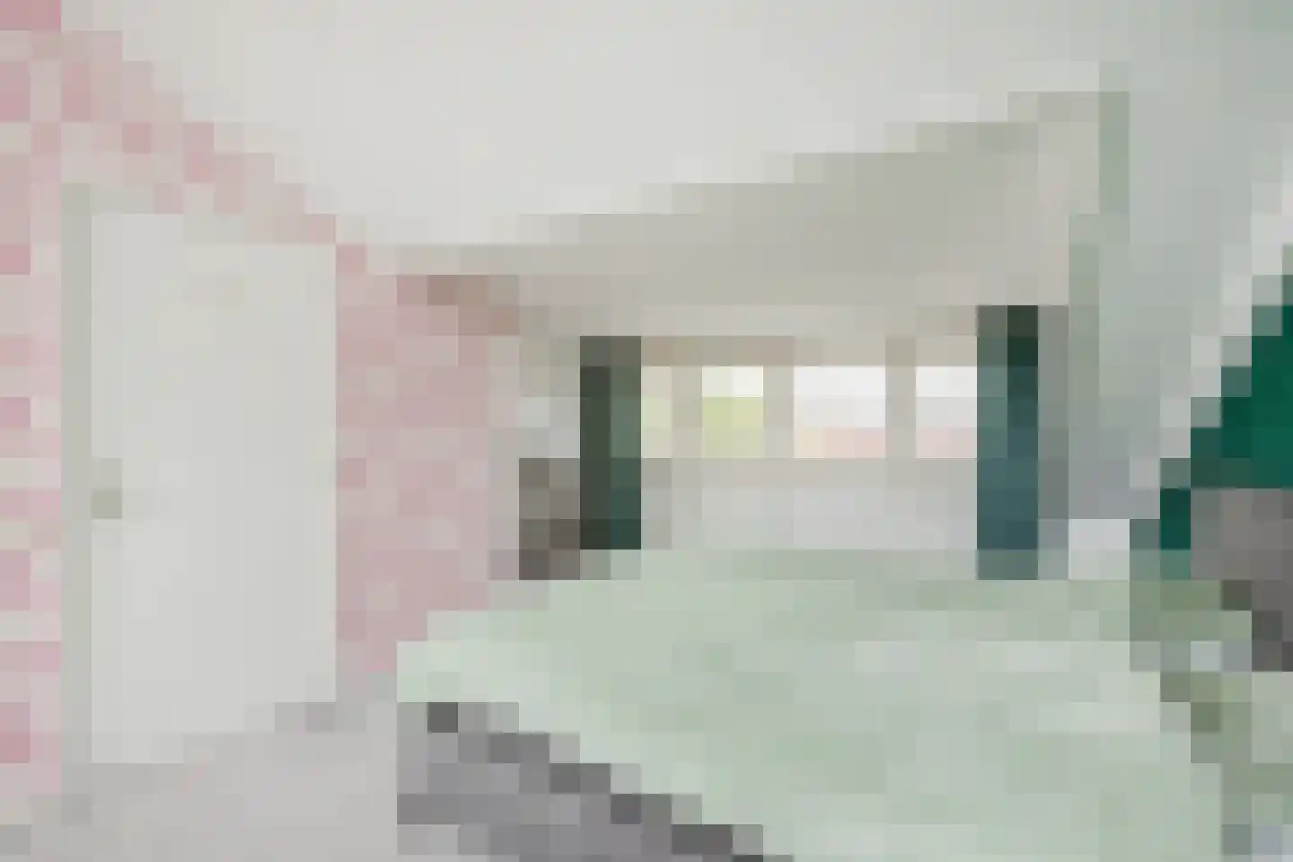 Tolhekstraat 76 Zwolle thumbnail 30