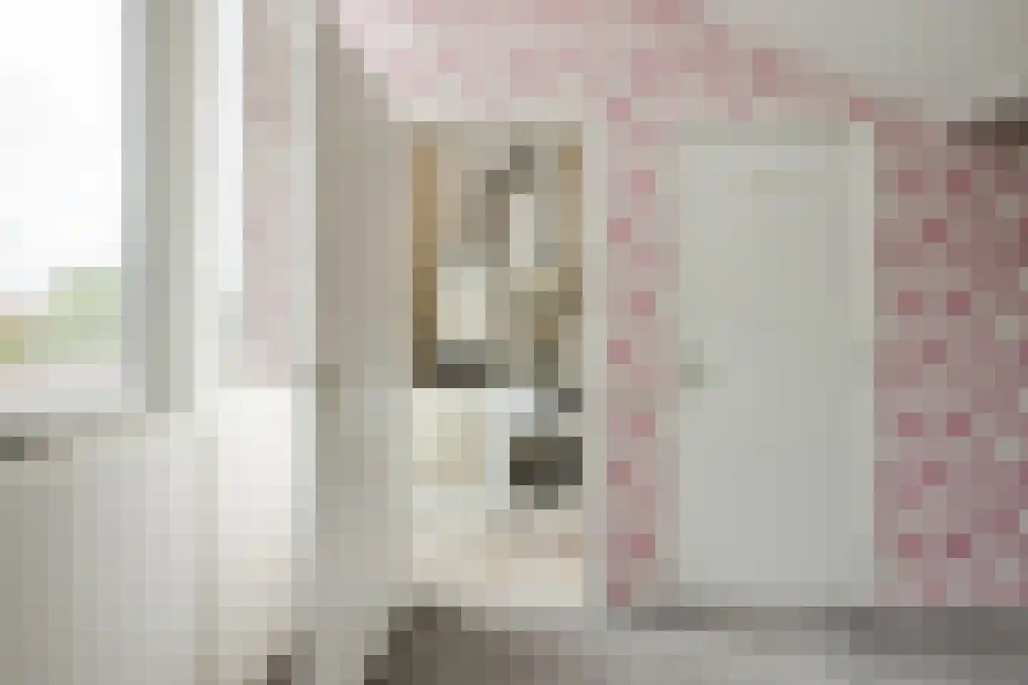 Tolhekstraat 76 Zwolle thumbnail 32
