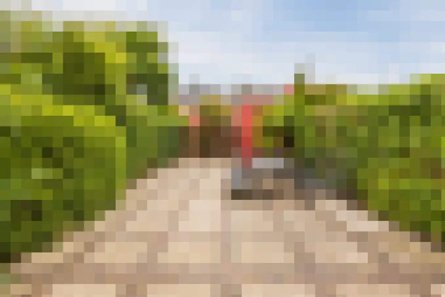 Tolhekstraat 76 Zwolle thumbnail 35