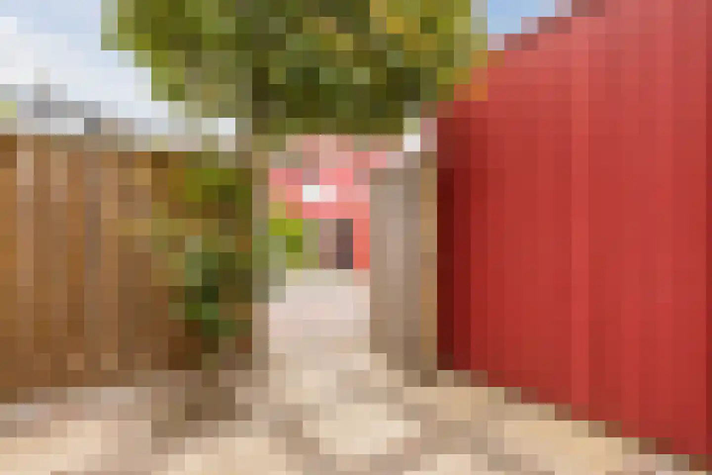 Tolhekstraat 76 Zwolle thumbnail 39