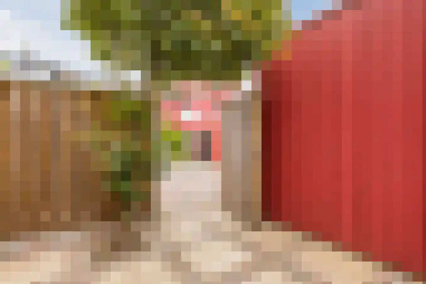 Tolhekstraat 76 Zwolle thumbnail 39