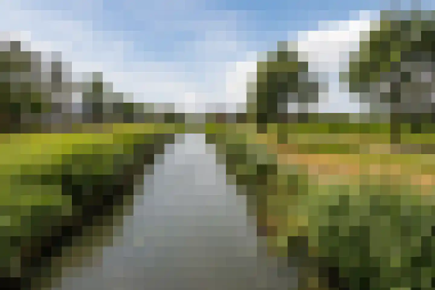Tolhekstraat 76 Zwolle thumbnail 42