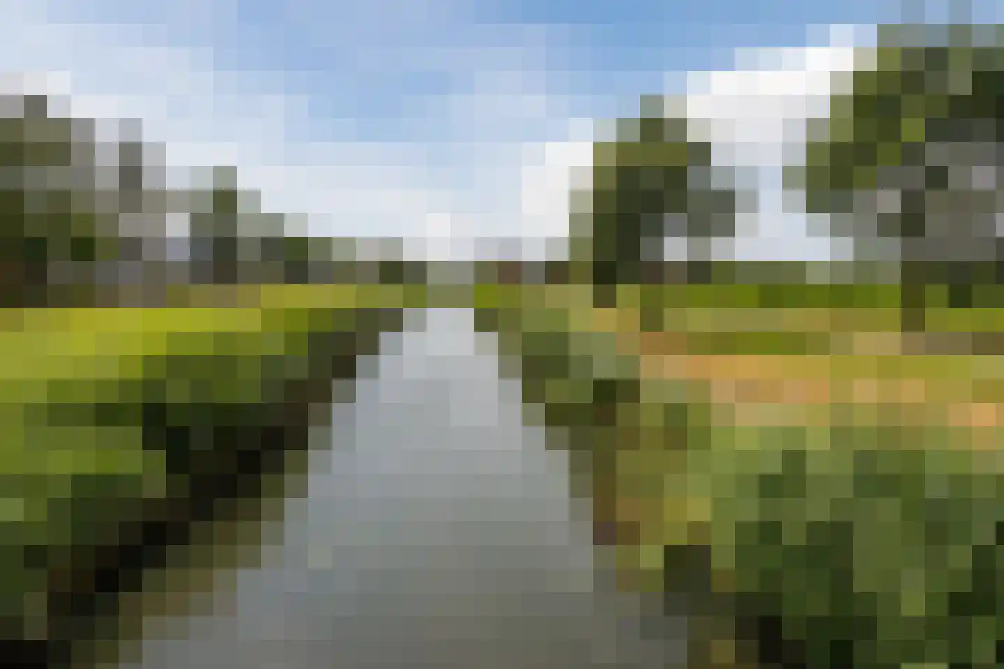 Tolhekstraat 76 Zwolle thumbnail 42