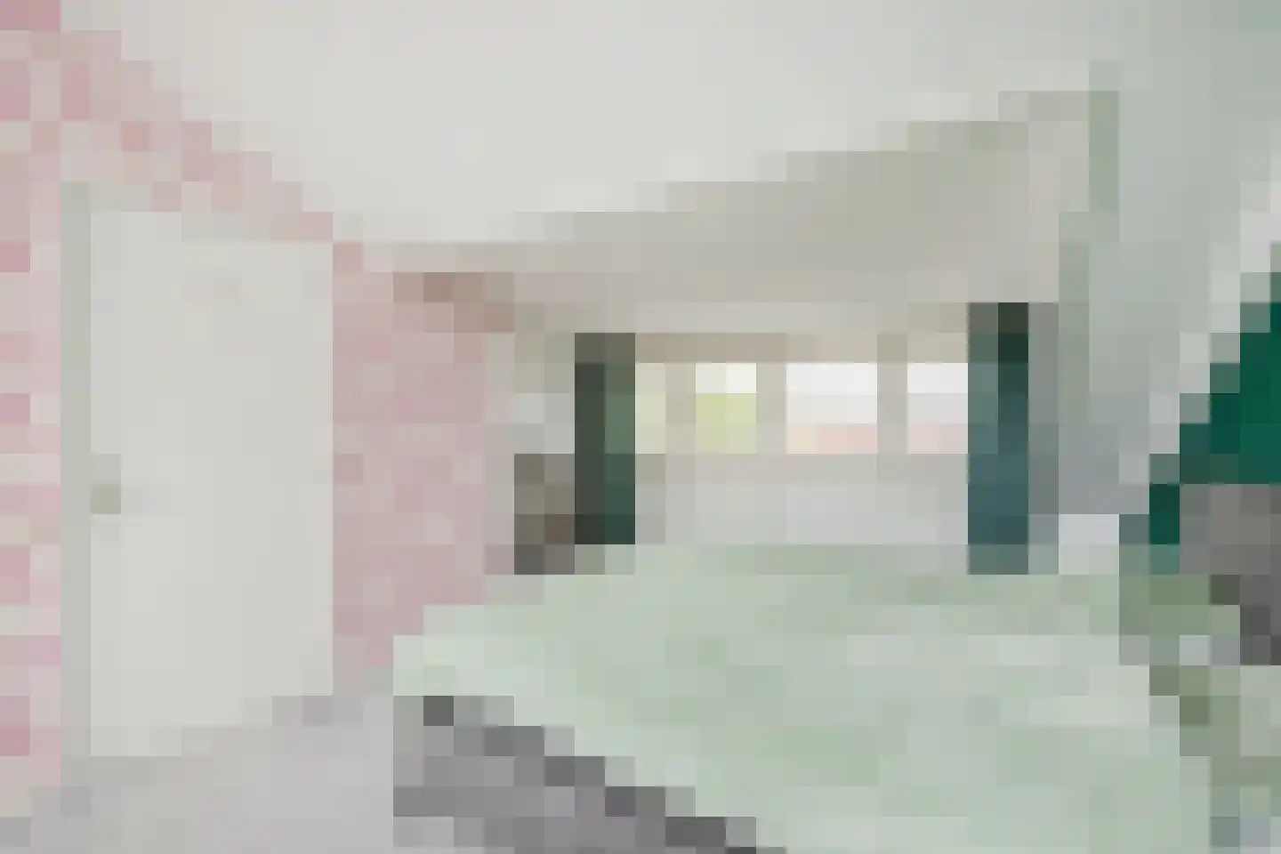 Tolhekstraat 76 Zwolle thumbnail 5