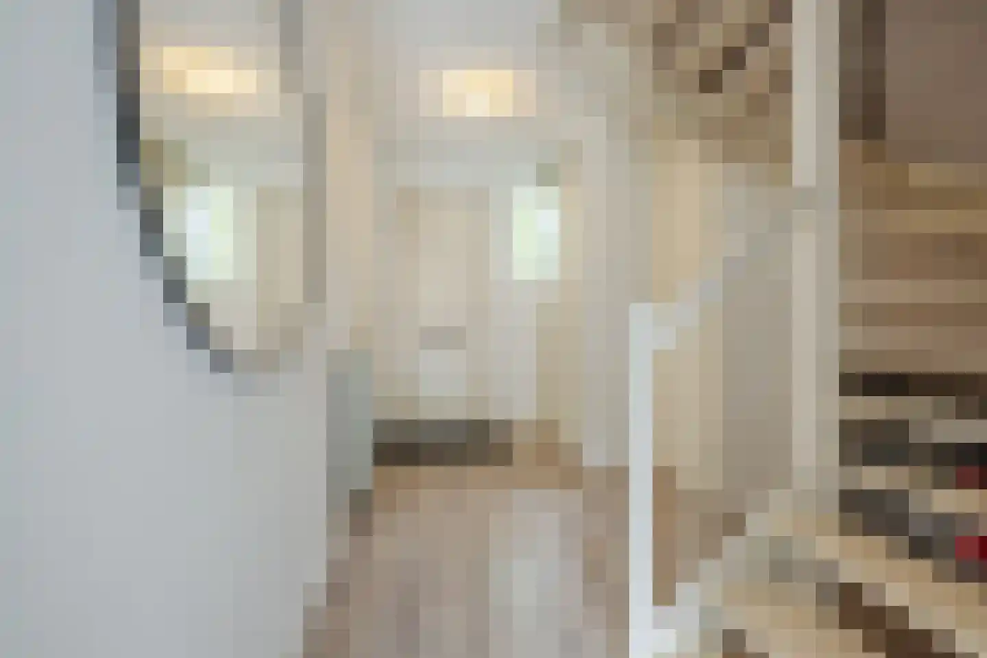 Tolhekstraat 76 Zwolle thumbnail 9