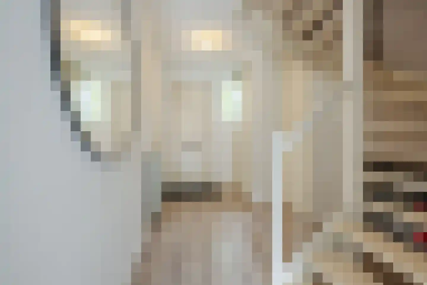 Tolhekstraat 76 Zwolle thumbnail 9