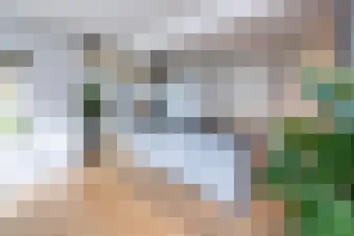 Tolhekstraat 9 Zwolle thumbnail 10