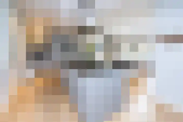 Tolhekstraat 9 Zwolle thumbnail 11