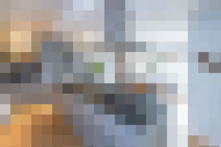 Tolhekstraat 9 Zwolle thumbnail 12