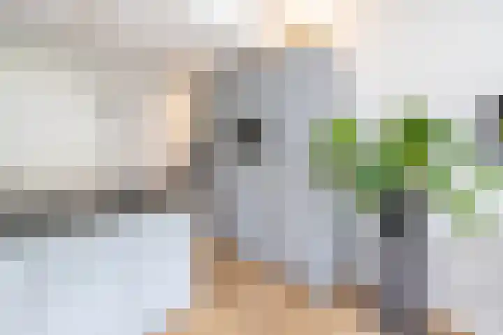 Tolhekstraat 9 Zwolle thumbnail 14