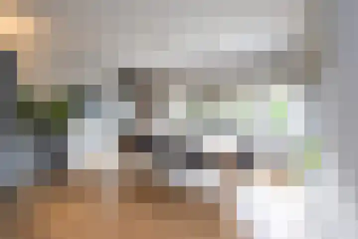Tolhekstraat 9 Zwolle thumbnail 16