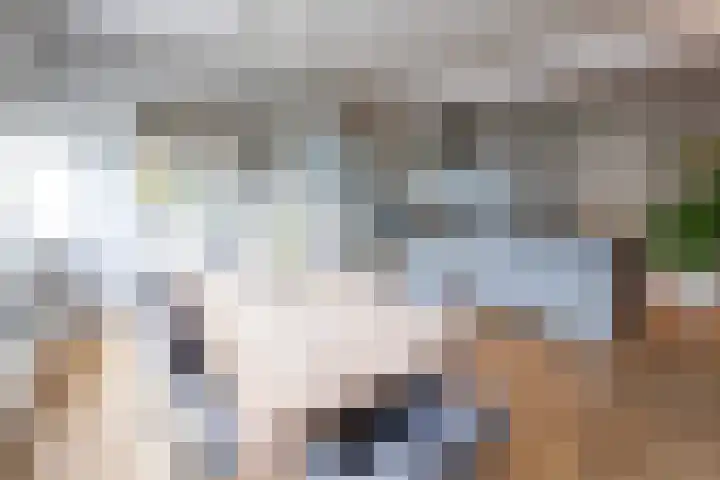 Tolhekstraat 9 Zwolle thumbnail 17