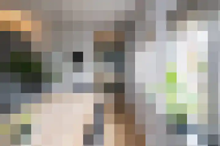 Tolhekstraat 9 Zwolle thumbnail 18