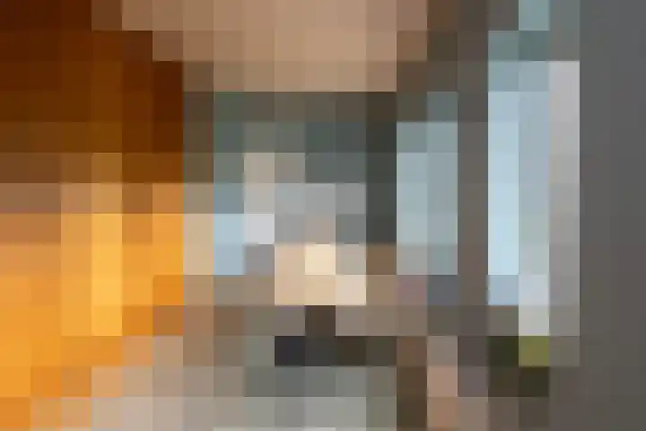 Tolhekstraat 9 Zwolle thumbnail 19