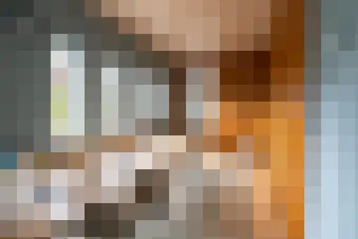 Tolhekstraat 9 Zwolle thumbnail 20
