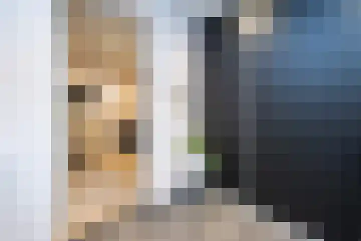 Tolhekstraat 9 Zwolle thumbnail 24