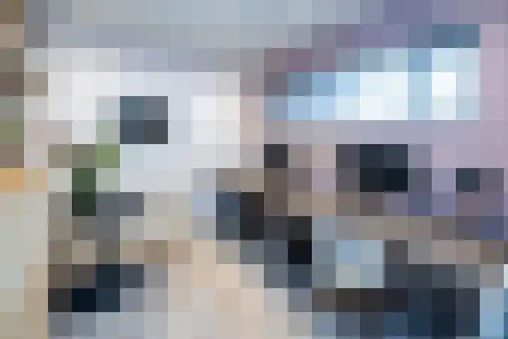Tolhekstraat 9 Zwolle thumbnail 25