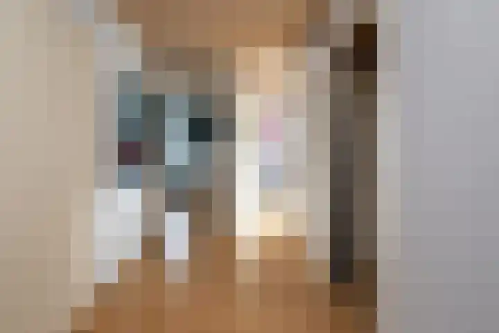 Tolhekstraat 9 Zwolle thumbnail 31