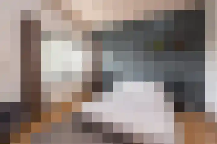 Tolhekstraat 9 Zwolle thumbnail 33