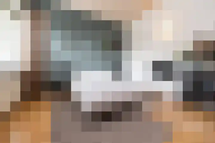 Tolhekstraat 9 Zwolle thumbnail 34