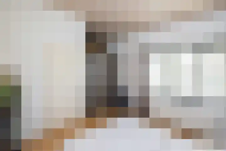 Tolhekstraat 9 Zwolle thumbnail 35