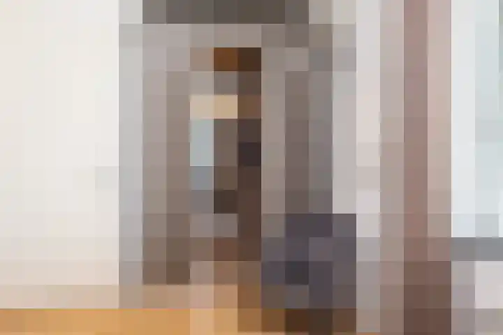 Tolhekstraat 9 Zwolle thumbnail 36