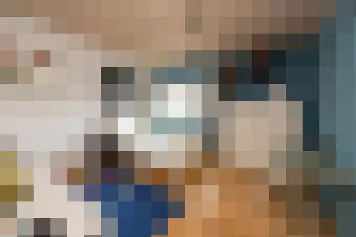 Tolhekstraat 9 Zwolle thumbnail 39
